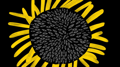 Photo-1-Img-Tournesol-300dpi-2.jpg