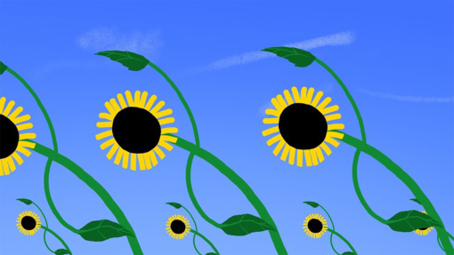 cropped-0000s-0009-Poster-cf58e2c63f-poster.jpg