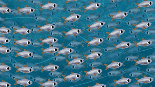 cropped-0000s-0018-Tuempel-Still2220x1200-01.jpg