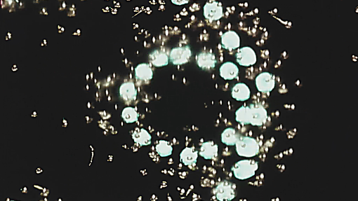 cropped-0000s-0023-Intersextion-1.jpg