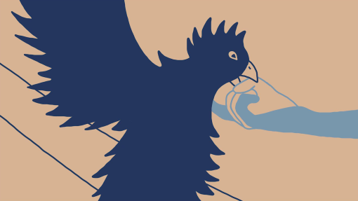 cropped-0000s-0035-snapshot-1689418248421.jpg